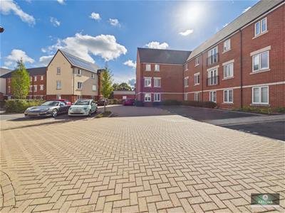 Picture 15